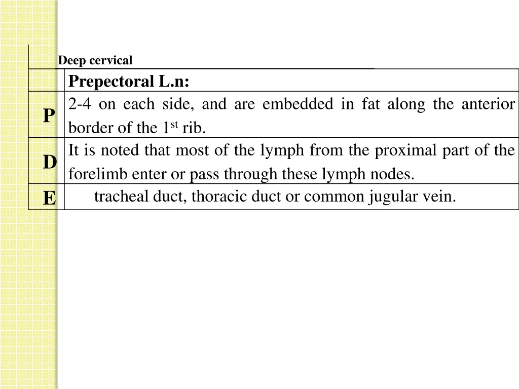 deep cervical 2