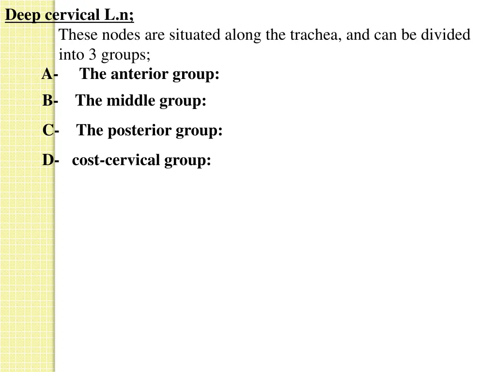 deep cervical l n these nodes are situated along