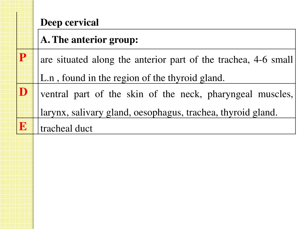 deep cervical