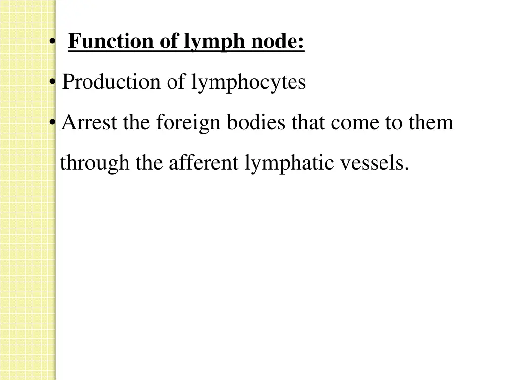 function of lymph node