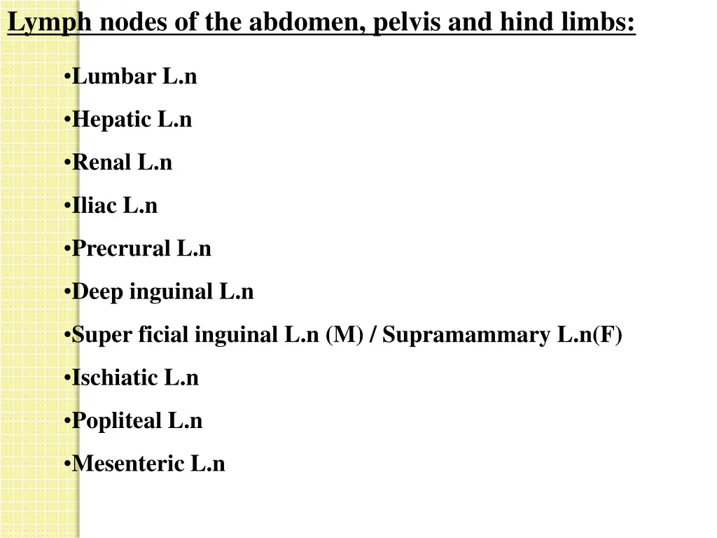 lymph nodes of the abdomen pelvis and hind limbs