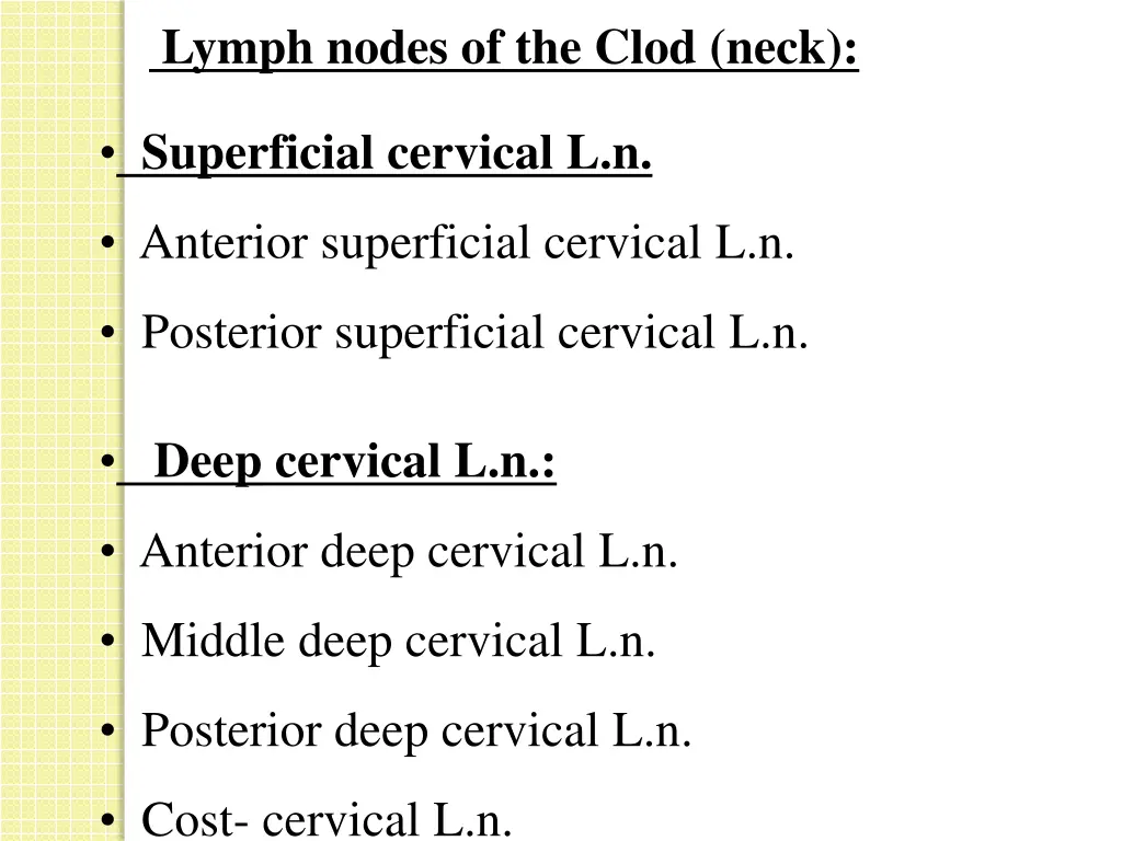 lymph nodes of the clod neck