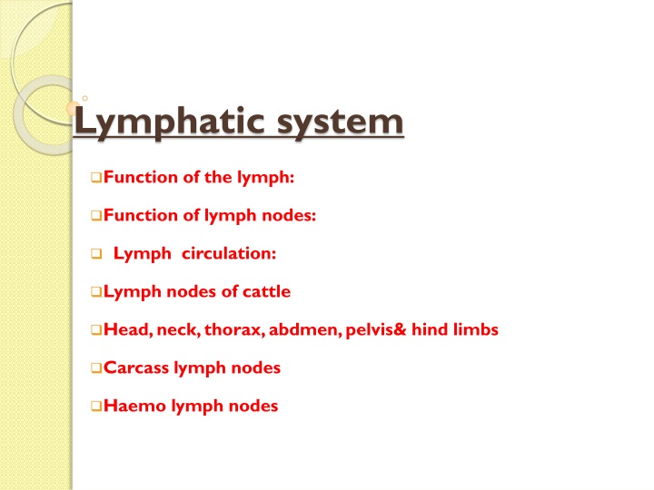 lymphatic system