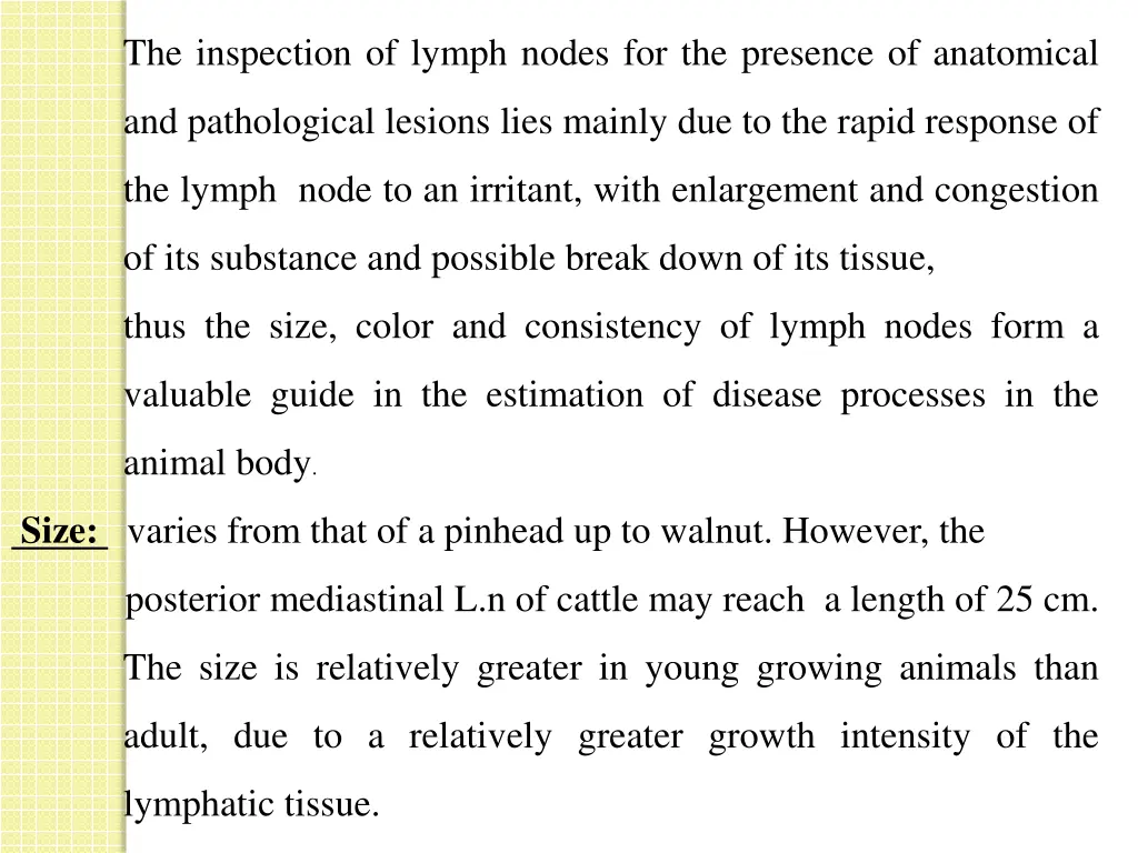 the inspection of lymph nodes for the presence