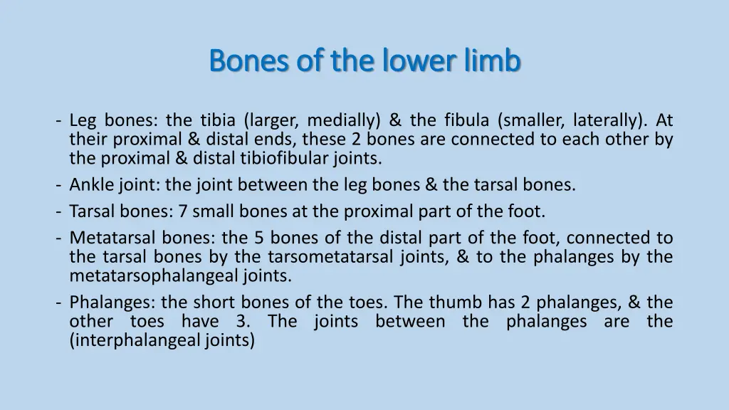 bones of the lower limb bones of the lower limb 1