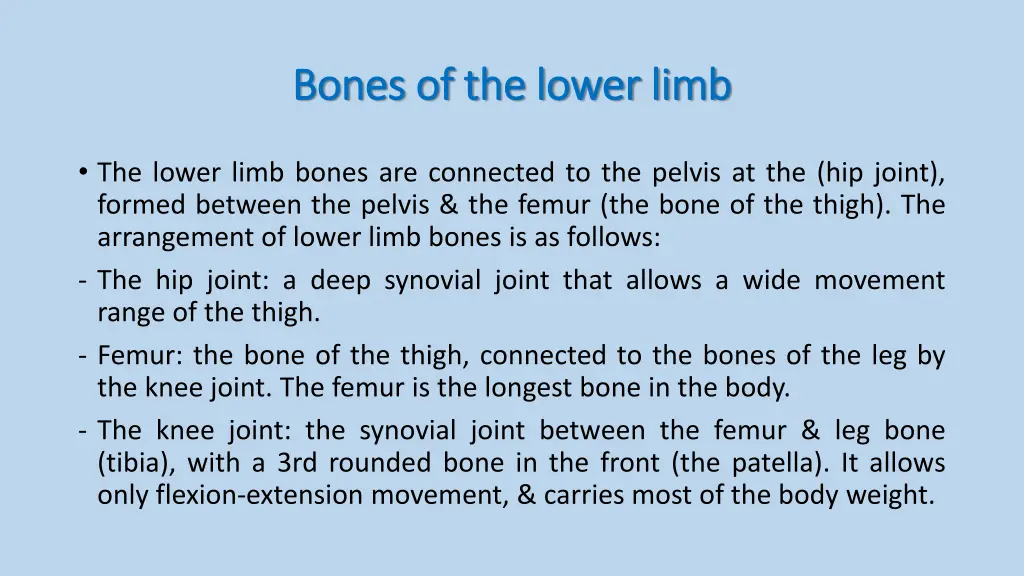 bones of the lower limb bones of the lower limb