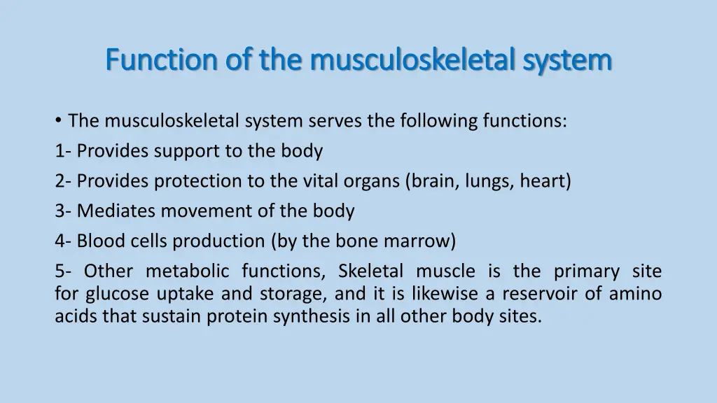 function of the musculoskeletal system function