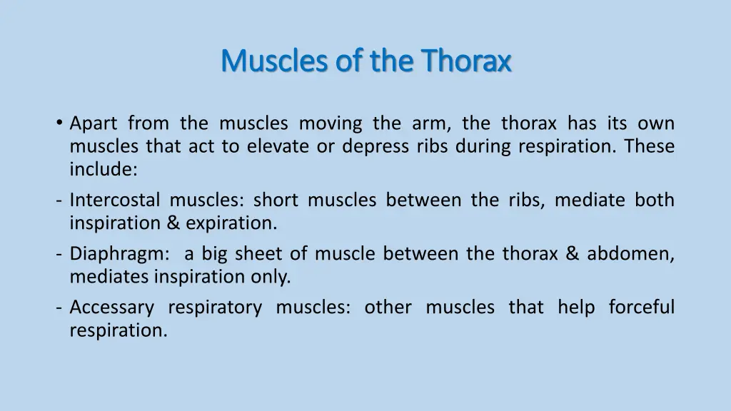 muscles of the thorax muscles of the thorax