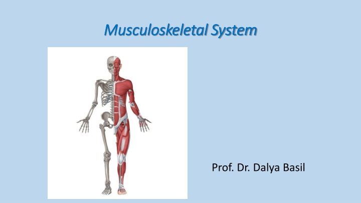 musculoskeletal system musculoskeletal system