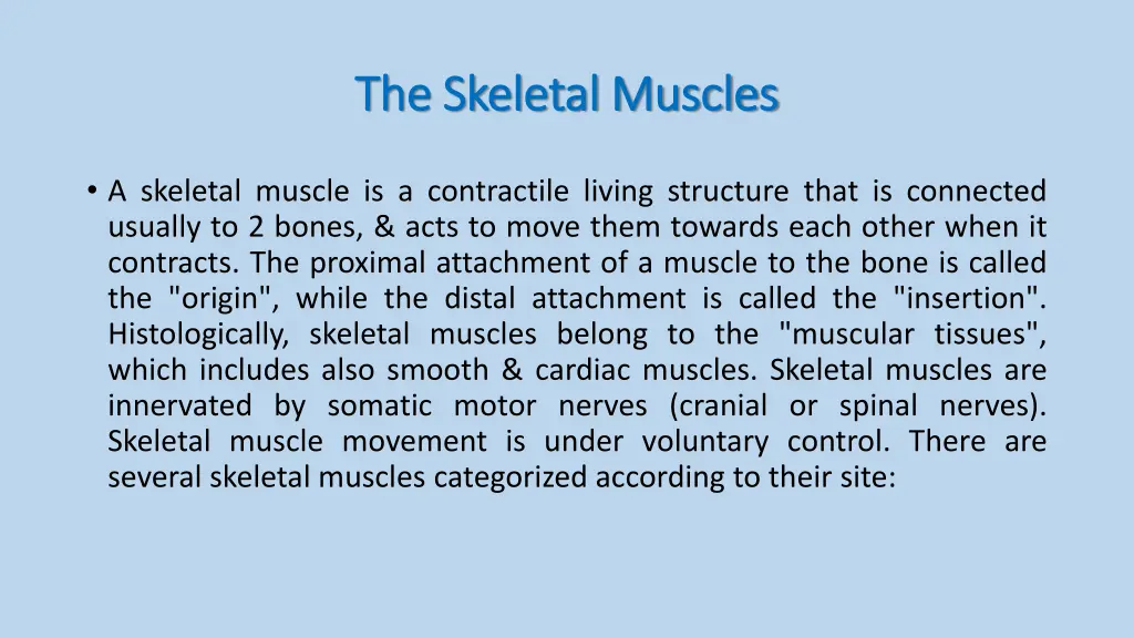 the skeletal muscles the skeletal muscles