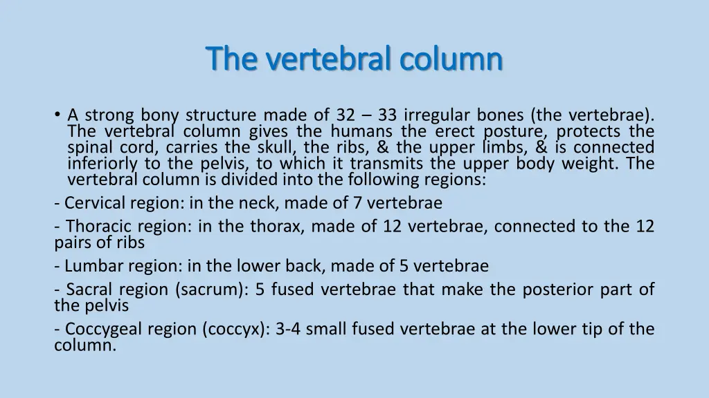 the vertebral column the vertebral column