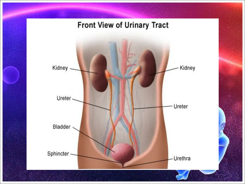 slide15