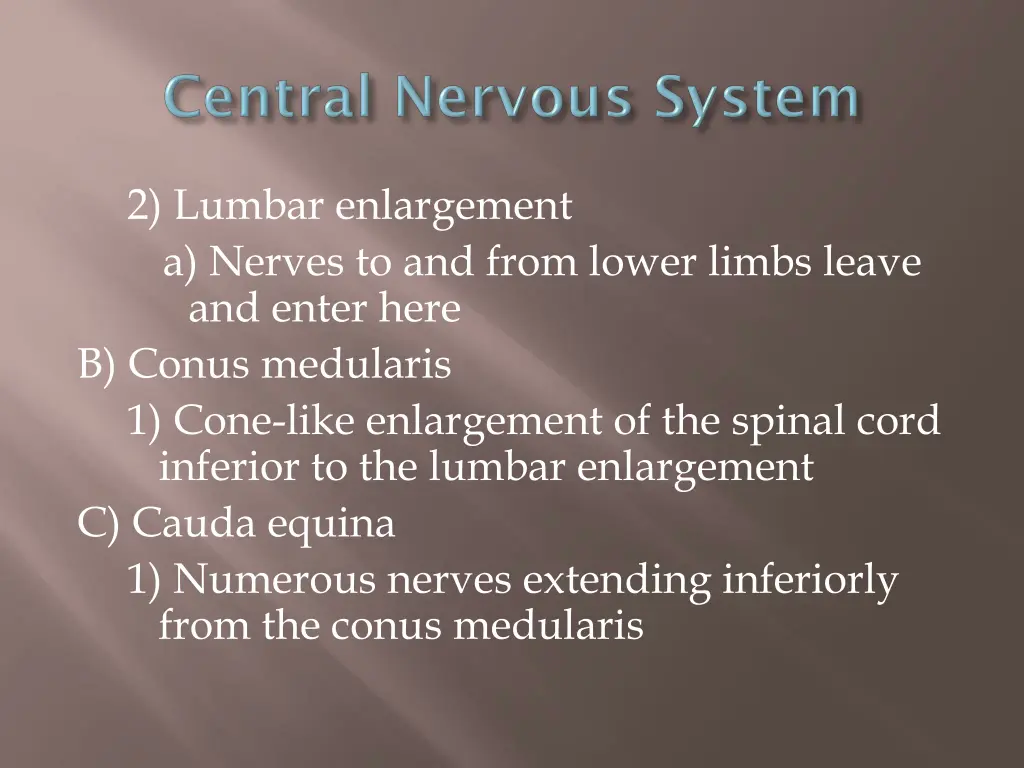 2 lumbar enlargement a nerves to and from lower