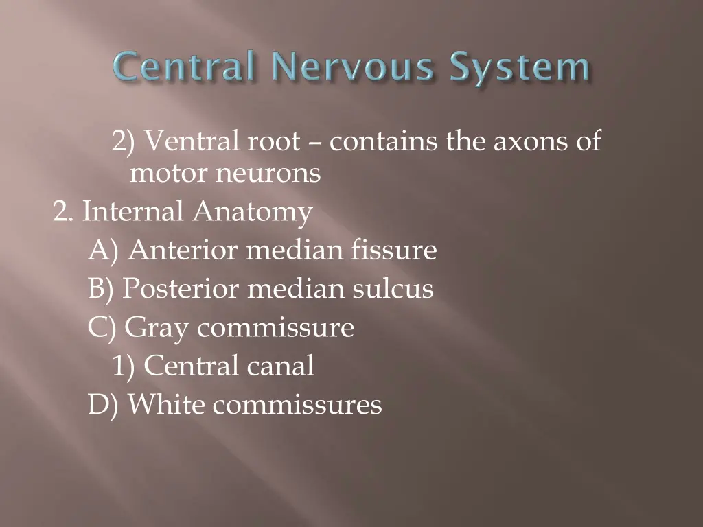 2 ventral root contains the axons of motor