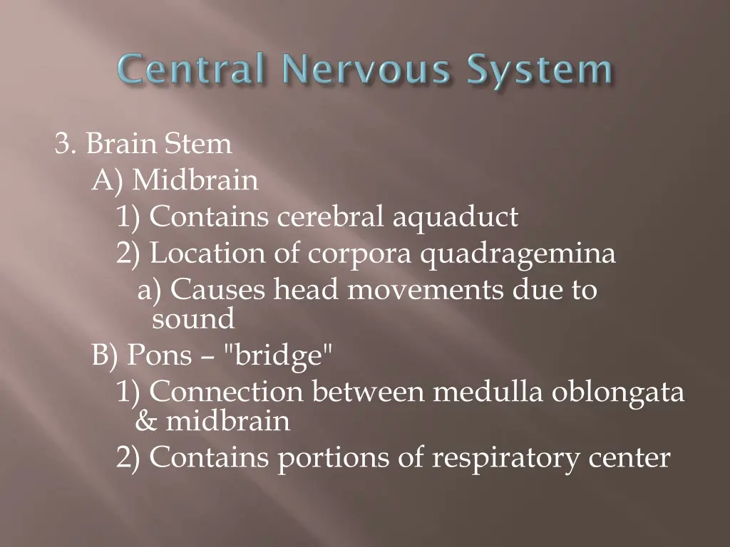 3 brain stem a midbrain 1 contains cerebral