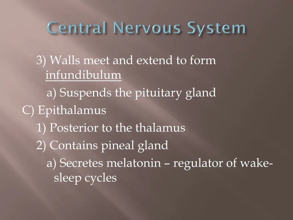 3 walls meet and extend to form infundibulum