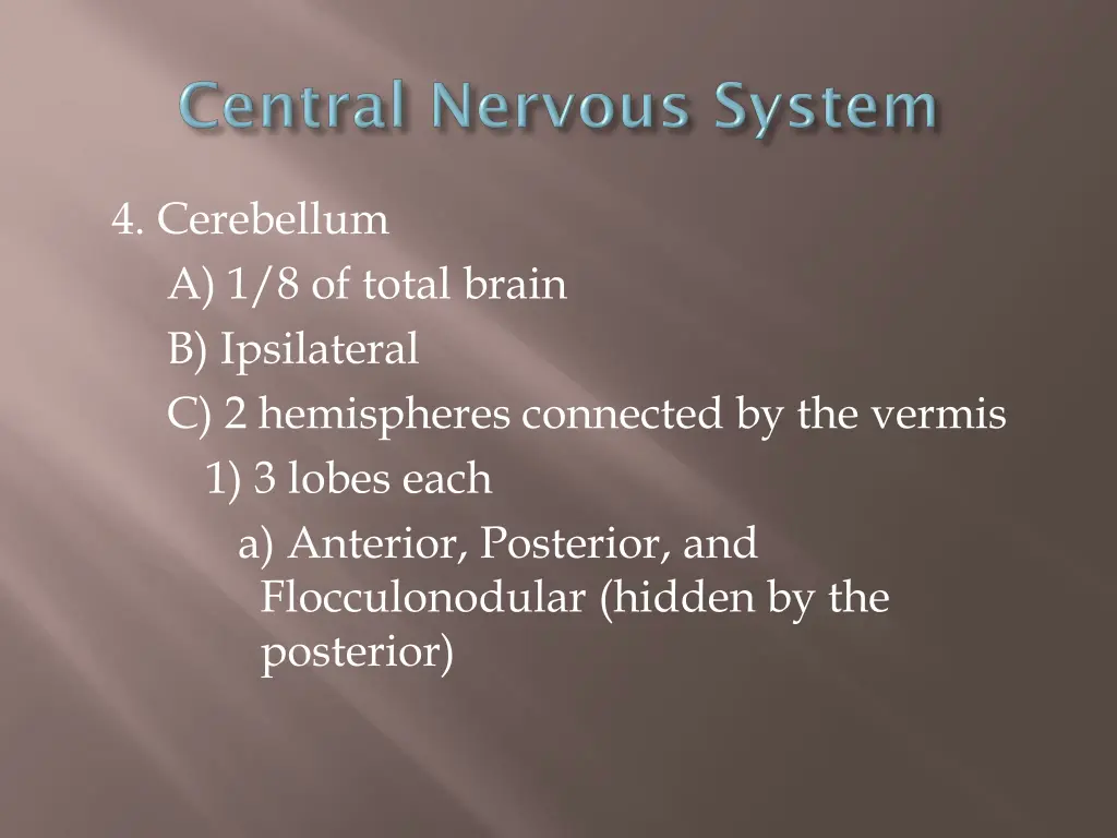 4 cerebellum a 1 8 of total brain b ipsilateral