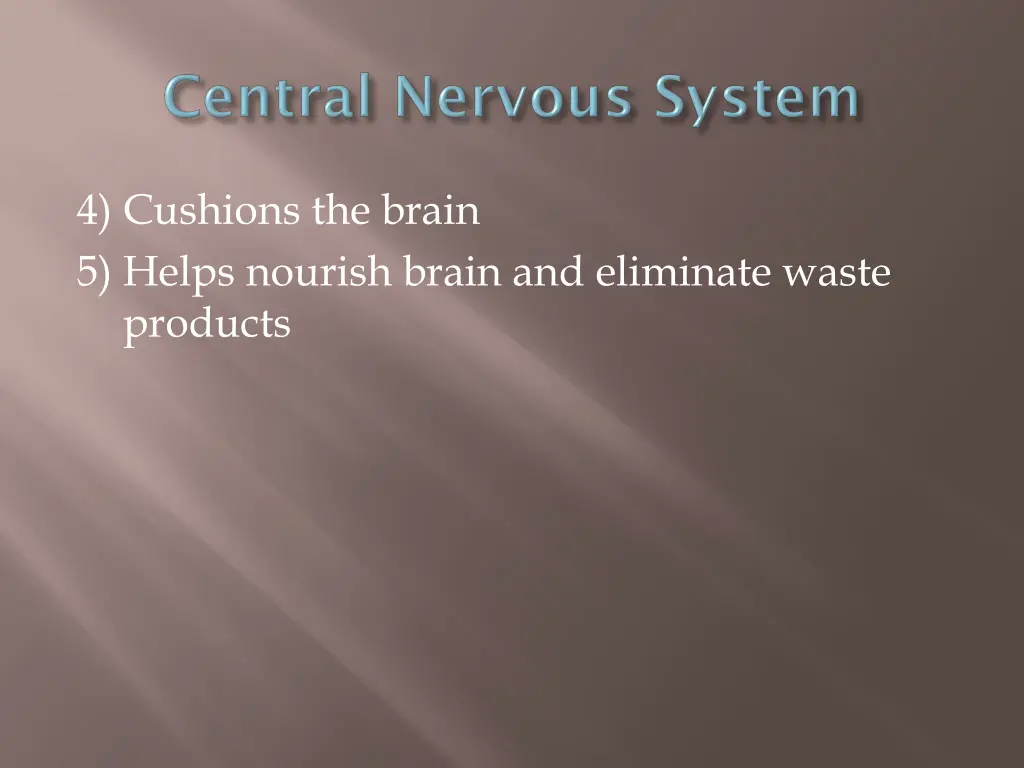 4 cushions the brain 5 helps nourish brain