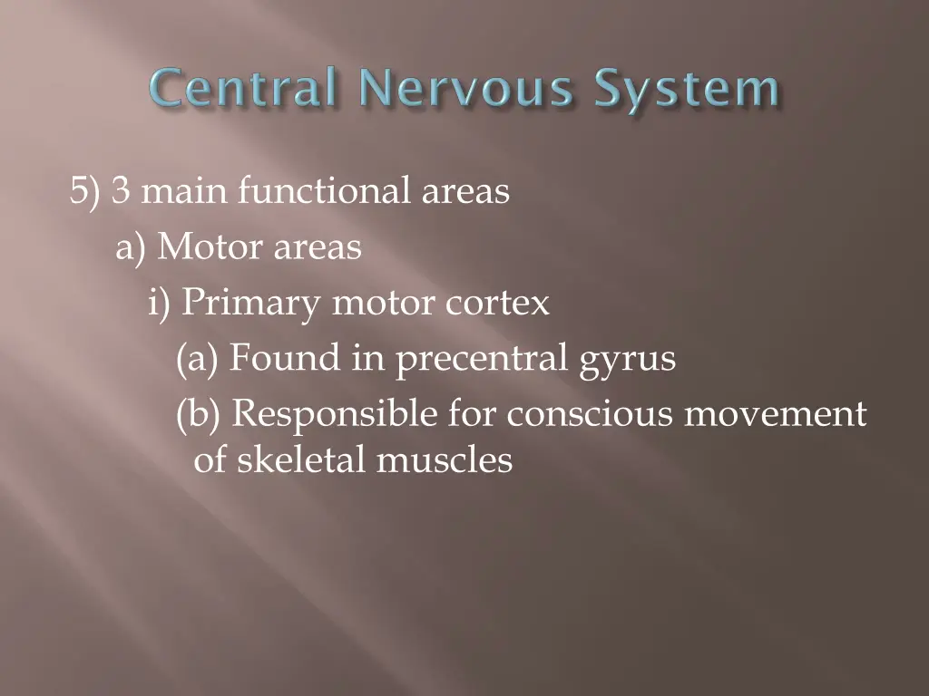 5 3 main functional areas a motor areas i primary