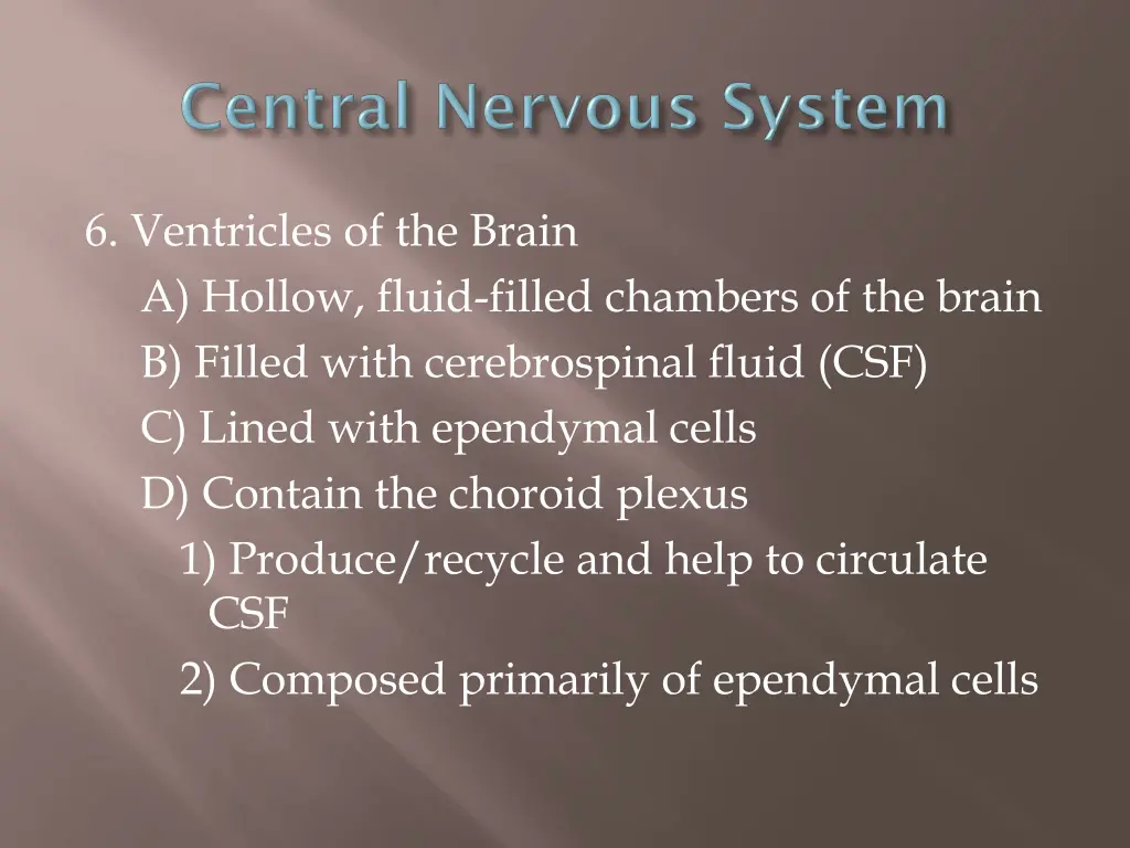 6 ventricles of the brain a hollow fluid filled