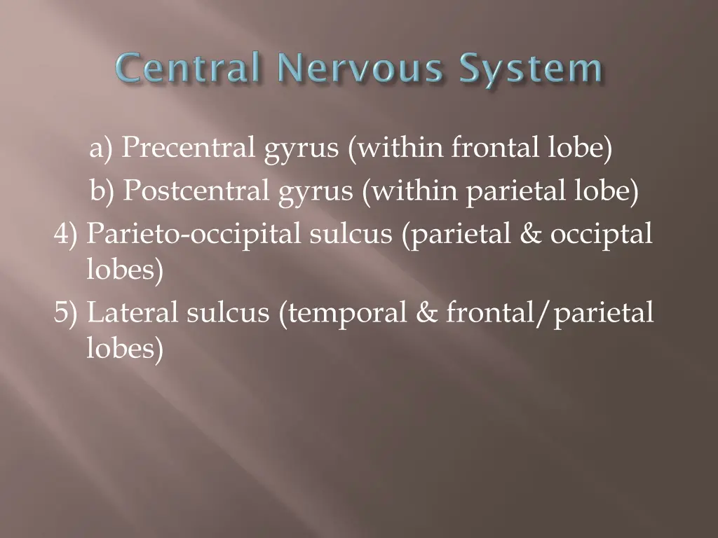 a precentral gyrus within frontal lobe