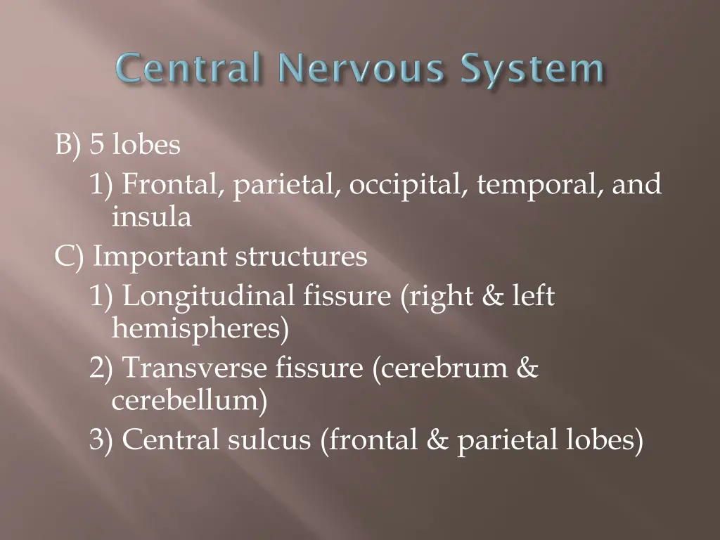 b 5 lobes 1 frontal parietal occipital temporal