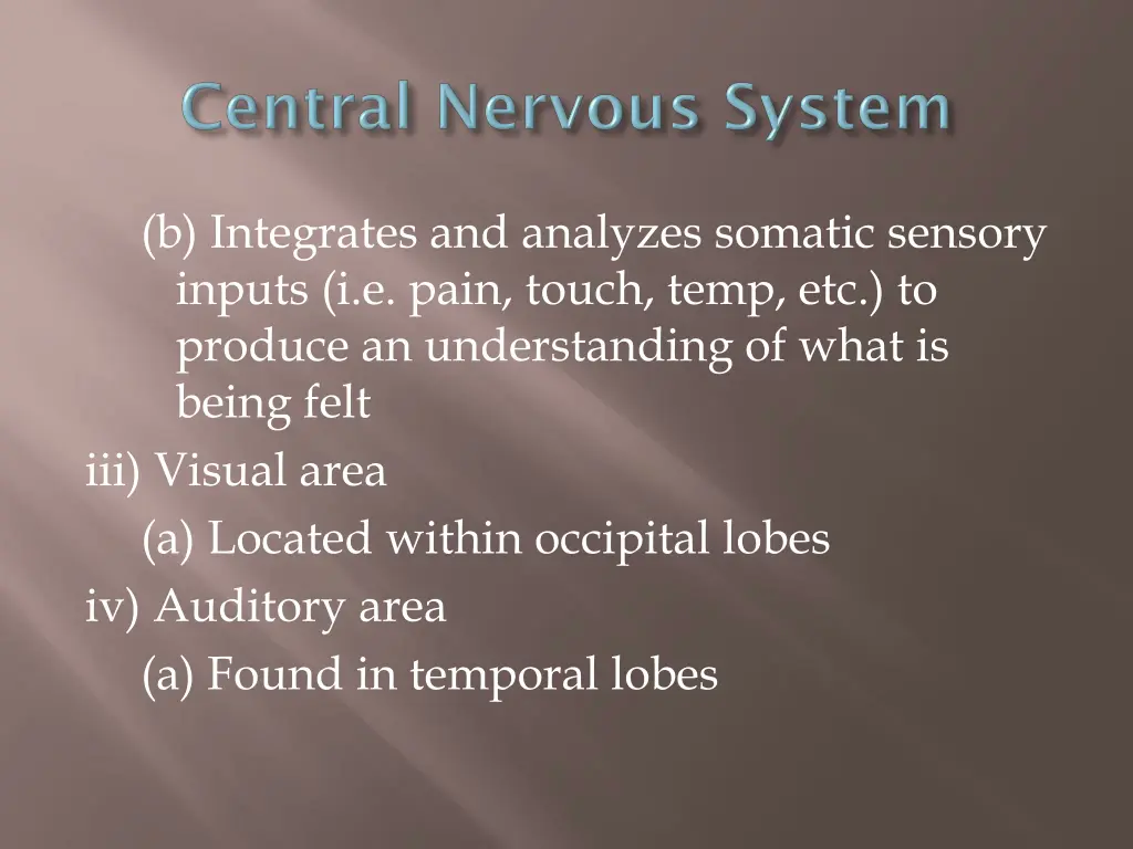 b integrates and analyzes somatic sensory inputs