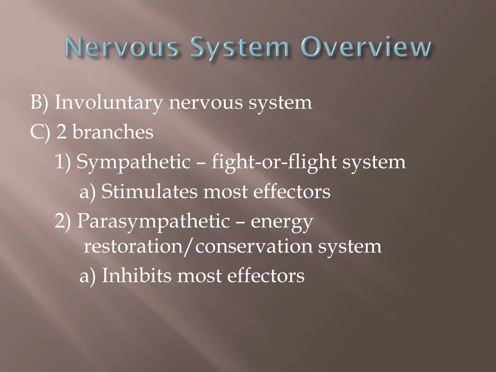 b involuntary nervous system c 2 branches