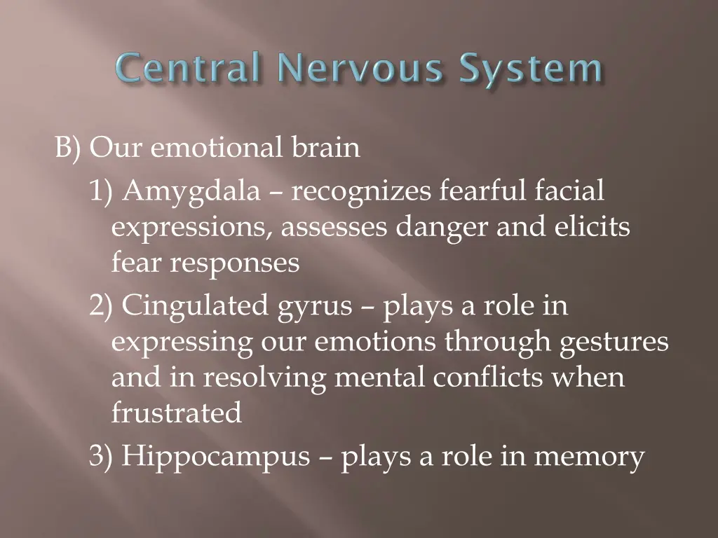 b our emotional brain 1 amygdala recognizes