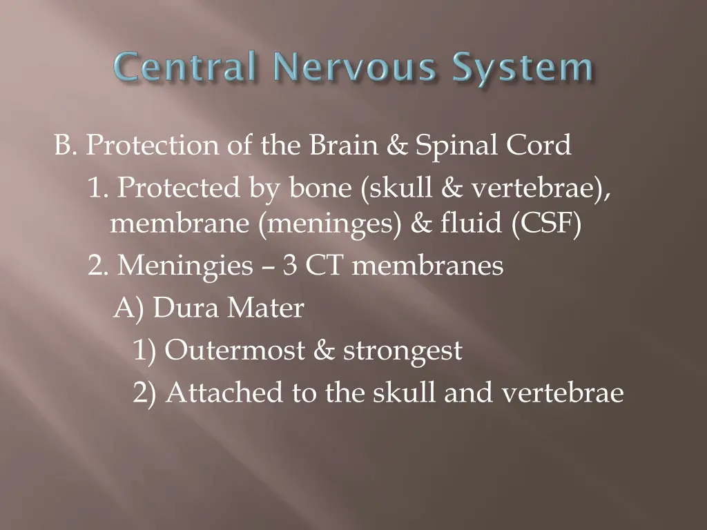 b protection of the brain spinal cord 1 protected