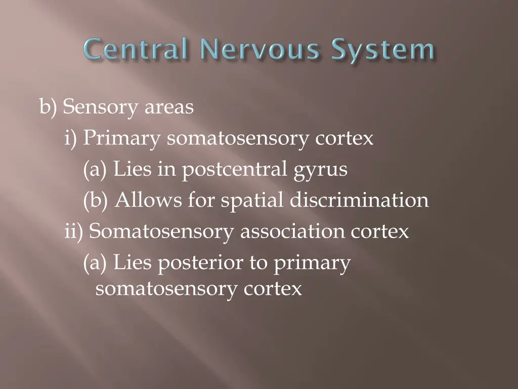 b sensory areas i primary somatosensory cortex