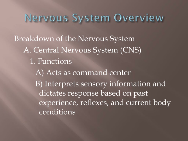 breakdown of the nervous system a central nervous