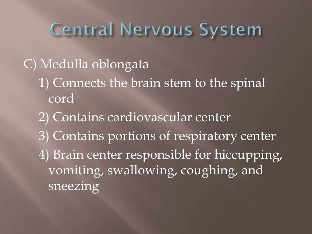 c medulla oblongata 1 connects the brain stem