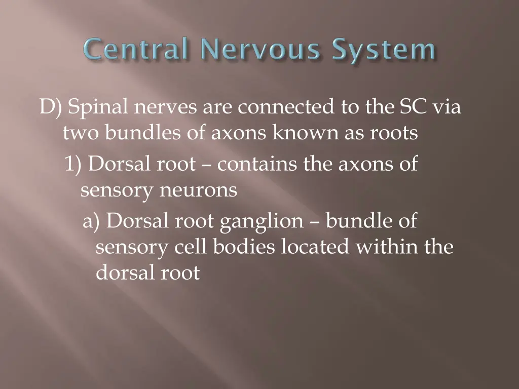 d spinal nerves are connected