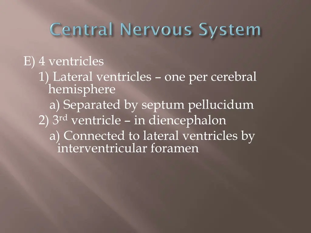 e 4 ventricles 1 lateral ventricles