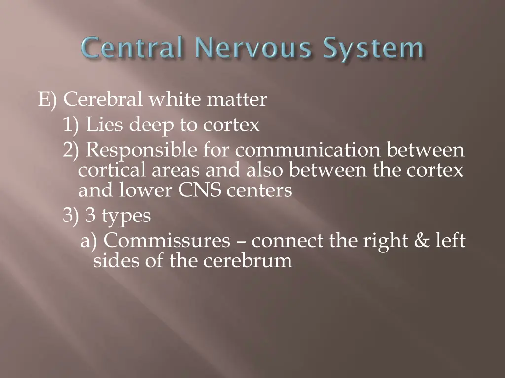 e cerebral white matter 1 lies deep to cortex