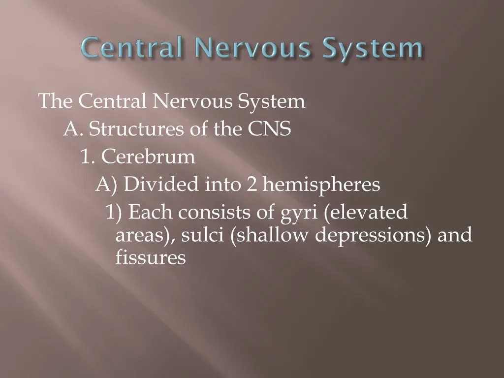 the central nervous system a structures