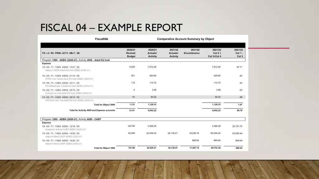 fiscal 04 example report