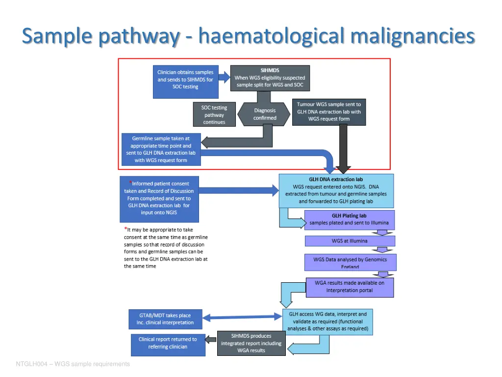 sample pathway haematological malignancies