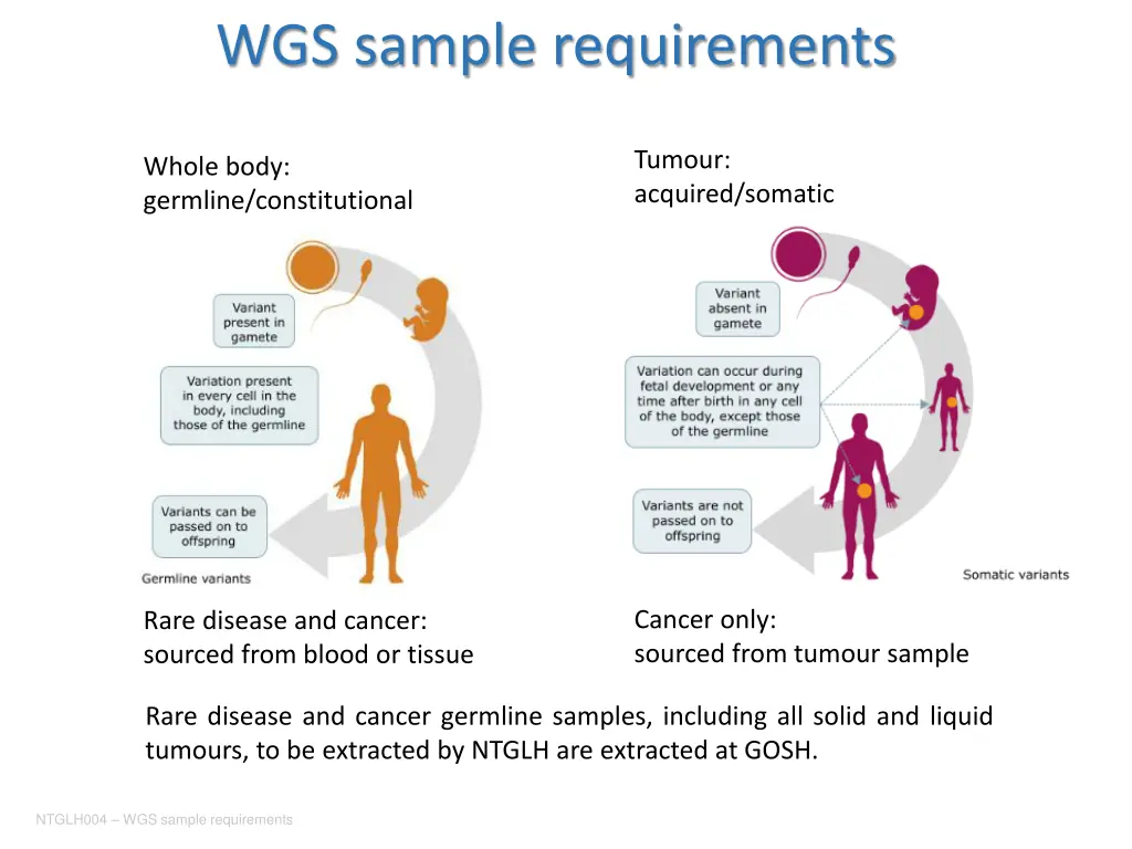 wgs sample requirements