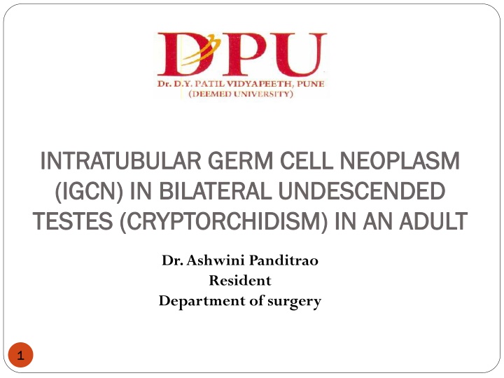 intratubular germ cell neoplasm intratubular germ