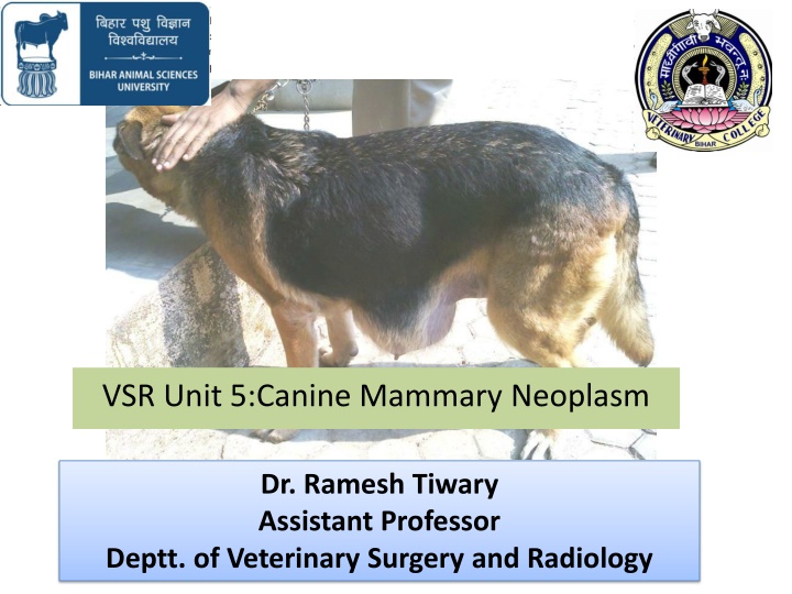 vsr unit 5 canine mammary neoplasm