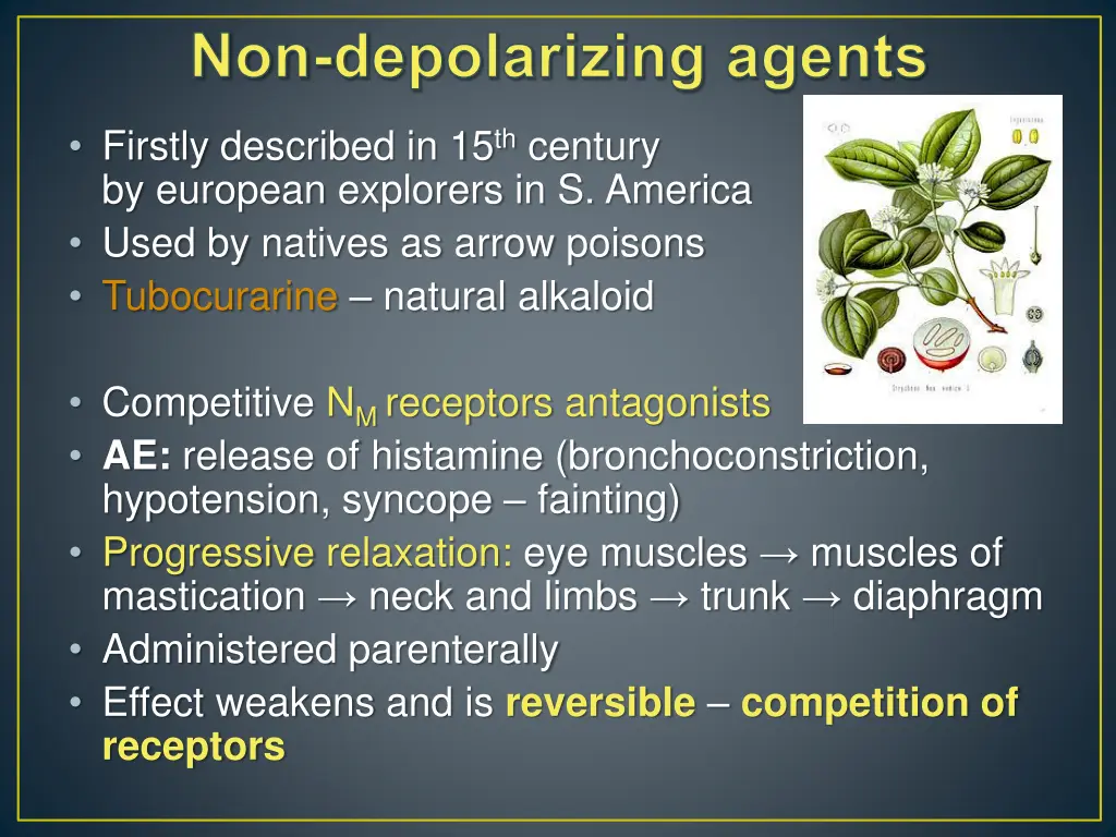 non depolarizing agents