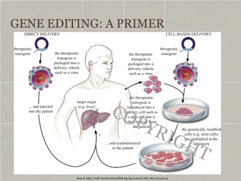 gene editing a primer 1