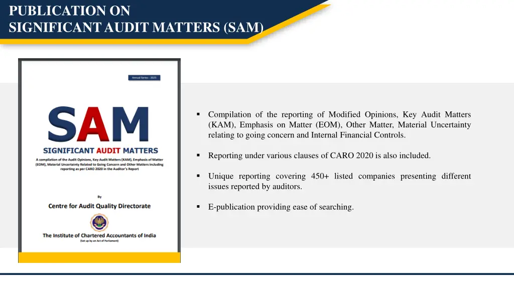 publication on significant audit matters sam
