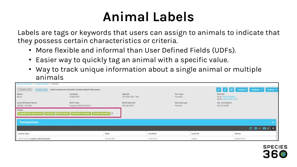 animal labels