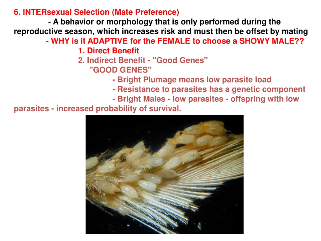 6 intersexual selection mate preference 3