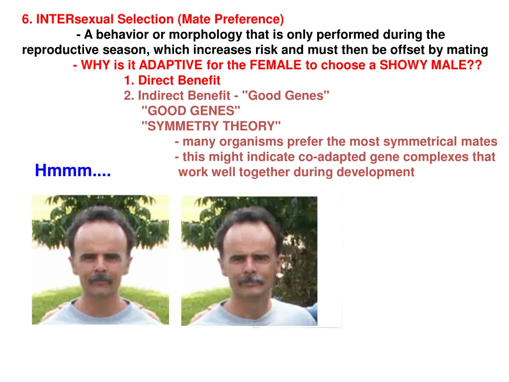 6 intersexual selection mate preference 7