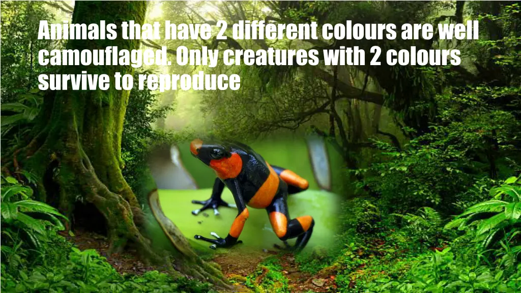 animals that have 2 different colours are well