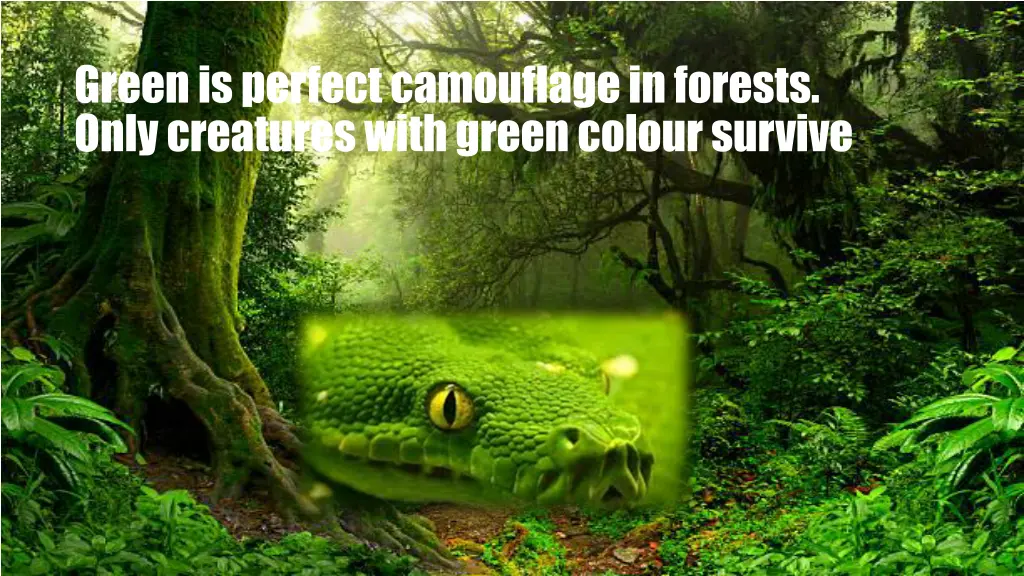 green is perfect camouflage in forests only